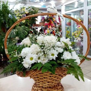  Родники