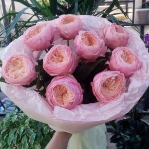  Родники