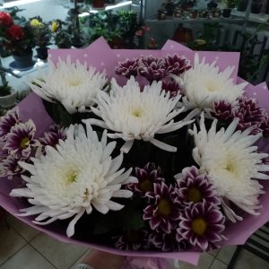  Родники